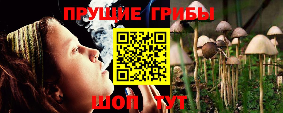 Галлюциногенные грибы GOLDEN TEACHER  Вход с VPN  Арзамас 